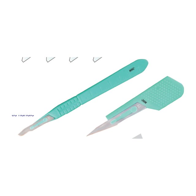 Disposable Scalpel with Plastic Handle