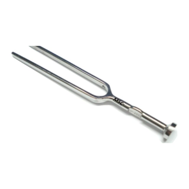 Tuning Fork S.S